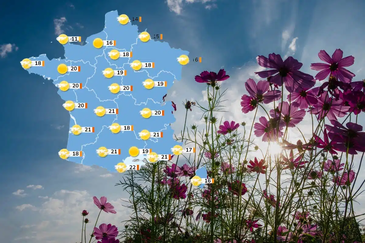 fleurs printemps meteo 2025