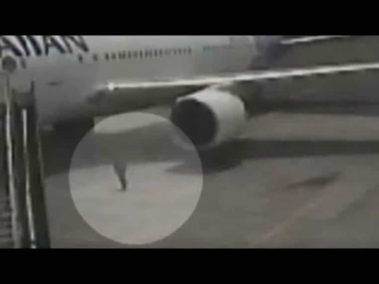 Garcon introduit avion
