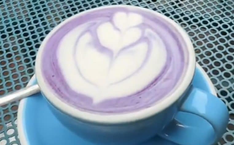 ube boisson info